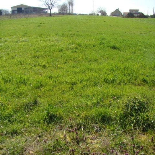 Labille Immobilier : Terrain | DOMPIERRE-SUR-BESBRE (03290) | m2 | 39 000 € Labille Immobilier : Terrain | DOMPIERRE-SUR-BESBRE (03290) | m2 | 39 000 €